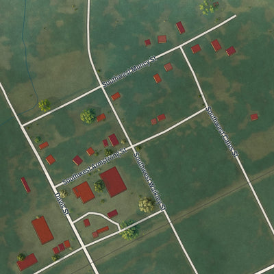 Close-up of the map of La Due, Missouri print showing street and building detail
