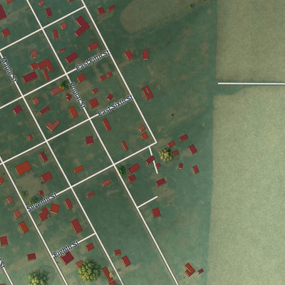 Second close-up of the map of Laddonia, Missouri print showing more streets and buildings