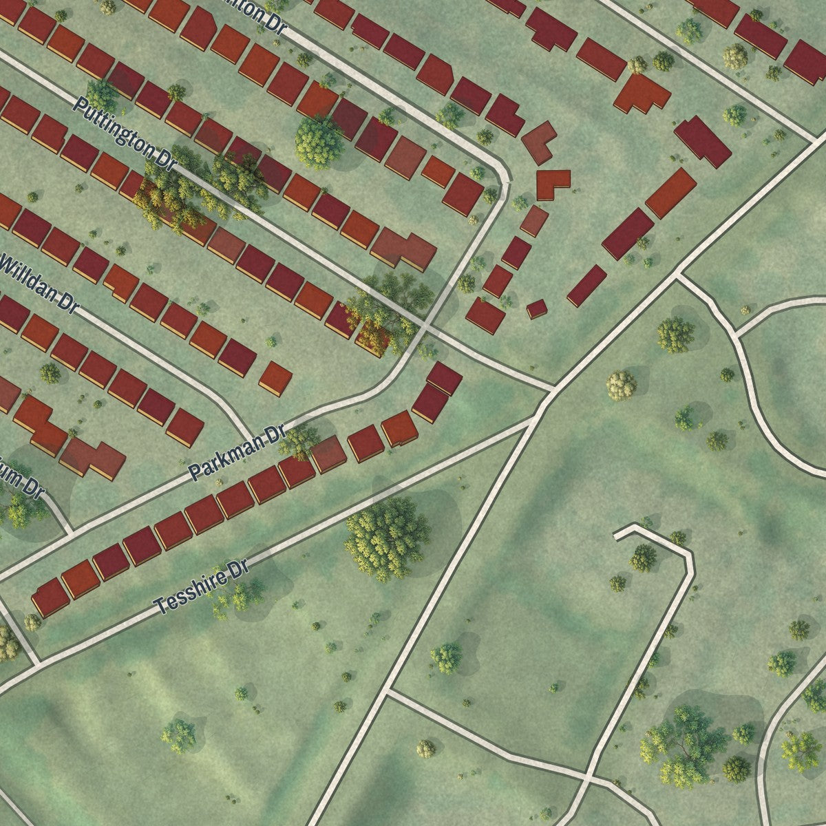 Close-up of the map of Lakeshire, Missouri print showing street and building detail