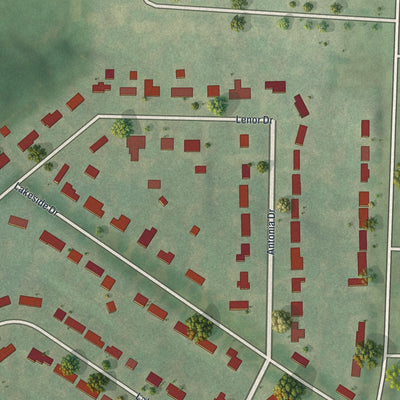 Second close-up of the map of Lakeshire, Missouri print showing more streets and buildings