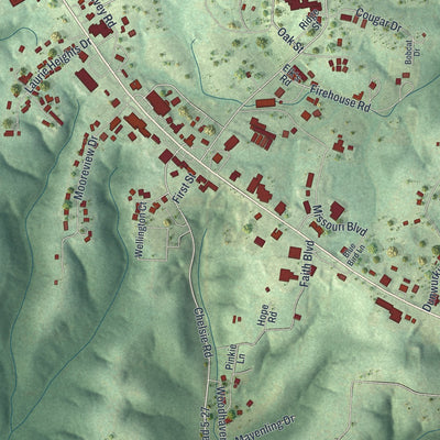 Close-up of the map of Laurie, Missouri print showing street and building detail