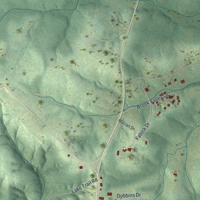 Second close-up of the map of Laurie, Missouri print showing more streets and buildings