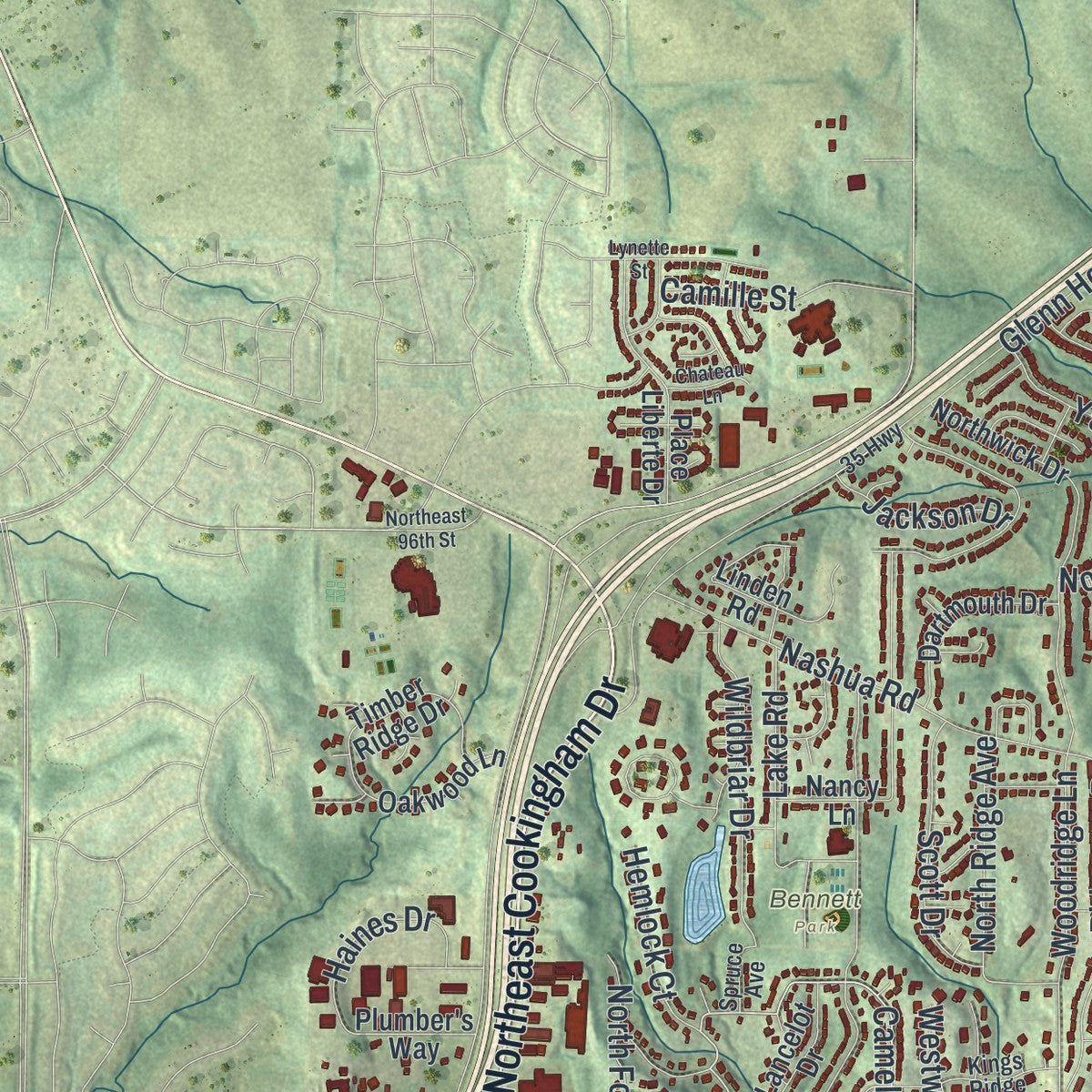 Second close-up of the map of Liberty, Missouri print showing more streets and buildings