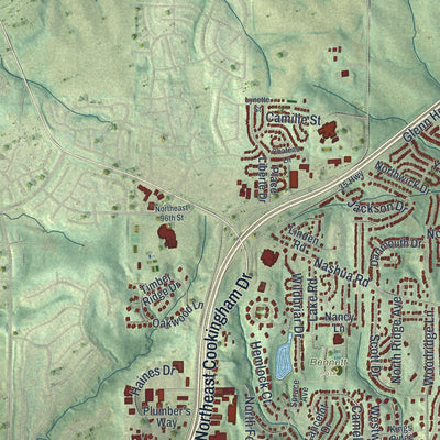 Second close-up of the map of Liberty, Missouri print showing more streets and buildings