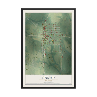 Map of Linneus, Missouri, 12 x 18 inch print in a black wood frame