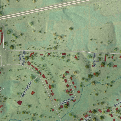 Close-up of the map of Loma Linda, Missouri print showing street and building detail