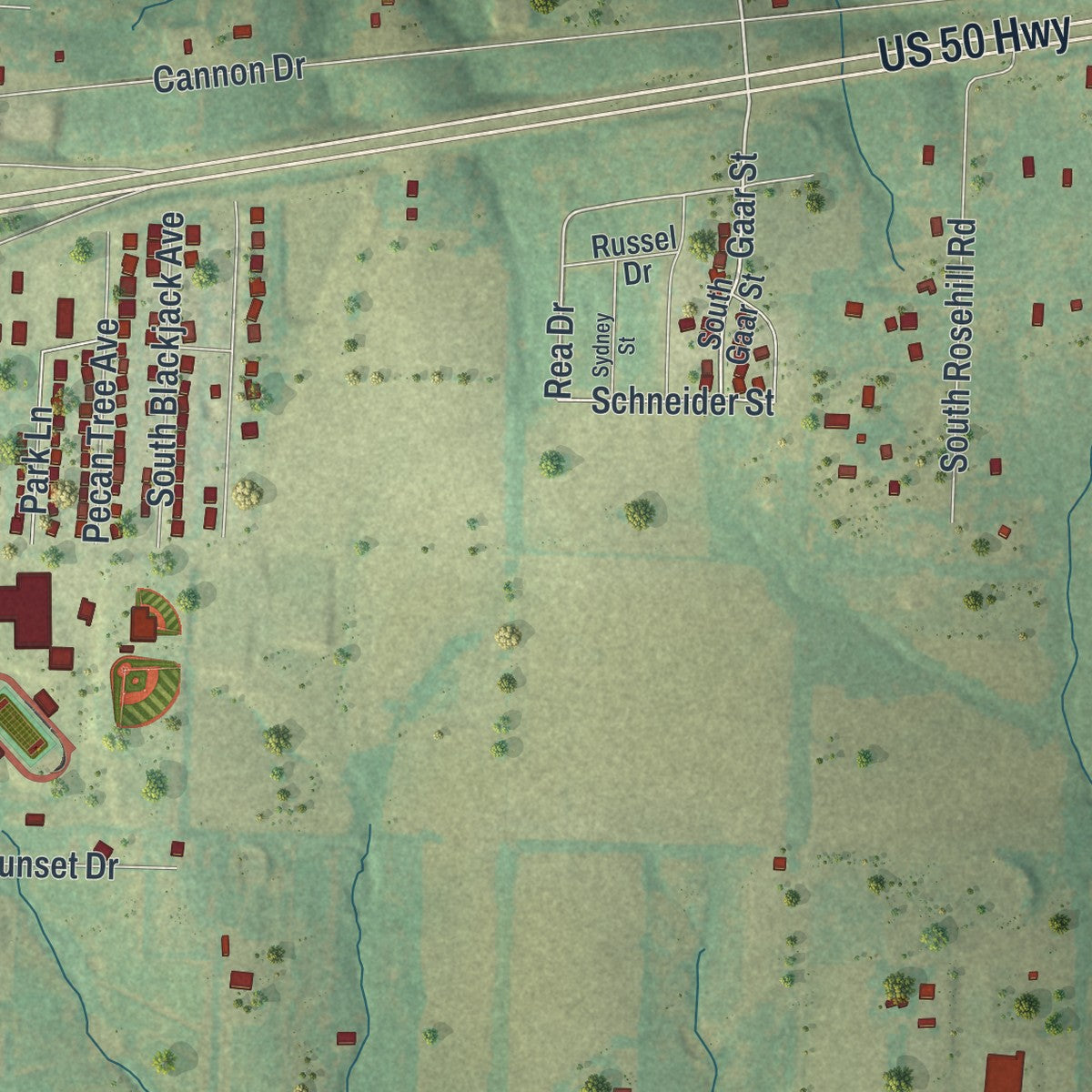 Close-up of the map of Lone Jack, Missouri print showing street and building detail