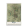 Map of Malden, Missouri, 12 x 18 inch unframed archival matte print