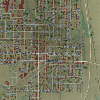 Close-up of the map of Malden, Missouri print showing street and building detail