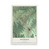 Map of Mansfield, Missouri, 12 x 18 inch unframed archival matte print