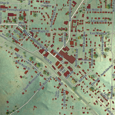Close-up of the map of Mansfield, Missouri print showing street and building detail