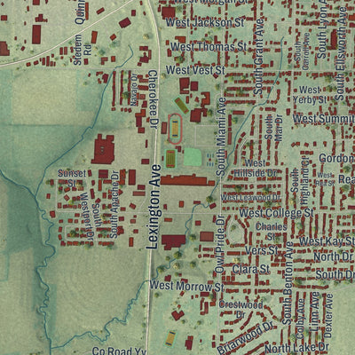 Close-up of the map of Marshall, Missouri print showing street and building detail