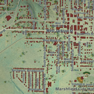 Close-up of the map of Marshfield, Missouri print showing street and building detail