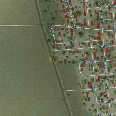 Close-up of the map of Matthews, Missouri print showing street and building detail