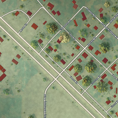 Close-up of the map of Millard, Missouri print showing street and building detail
