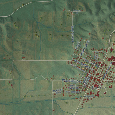 Close-up of the map of Mingo, Missouri print showing street and building detail