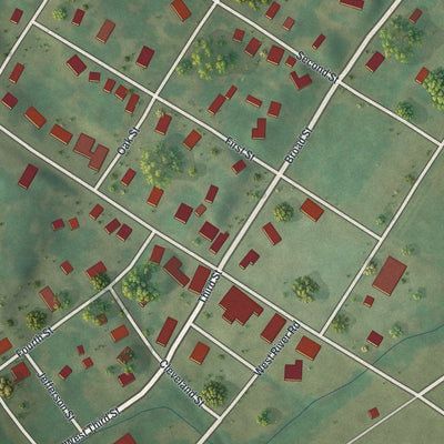 Close-up of the map of Mokane, Missouri print showing street and building detail