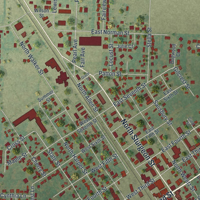 Close-up of the map of Montgomery City, Missouri print showing street and building detail