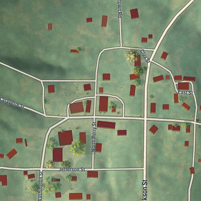 Close-up of the map of Monticello, Missouri print showing street and building detail