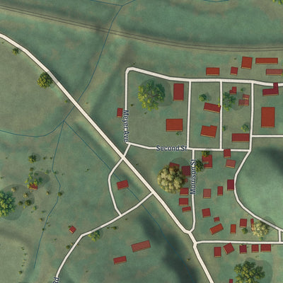 Close-up of the map of Morrison, Missouri print showing street and building detail