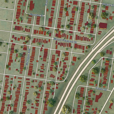 Close-up of the map of Mount Pleasant, Missouri print showing street and building detail