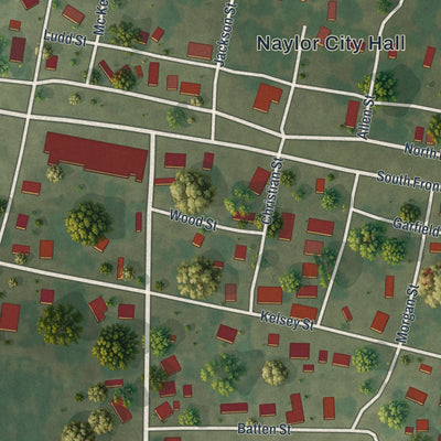 Close-up of the map of Naylor, Missouri print showing street and building detail