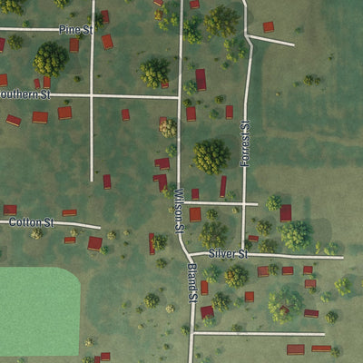Second close-up of the map of Naylor, Missouri print showing more streets and buildings
