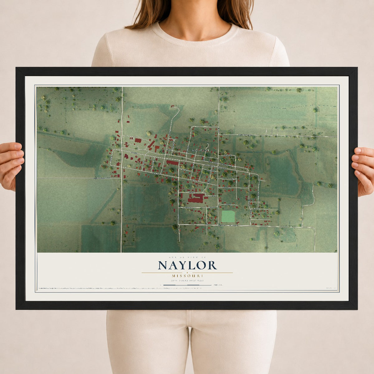 Map of Naylor, Missouri, 18 x 24 inch print in a black wood frame