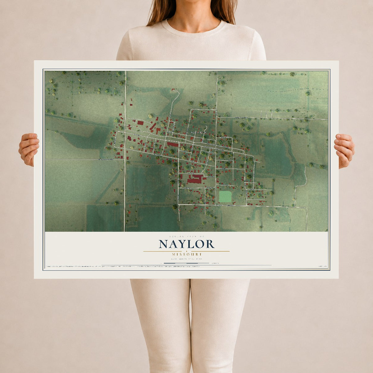 Map of Naylor, Missouri, 24 x 36 inch unframed archival matte print