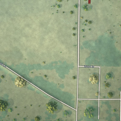 Second close-up of the map of Neck City, Missouri print showing more streets and buildings