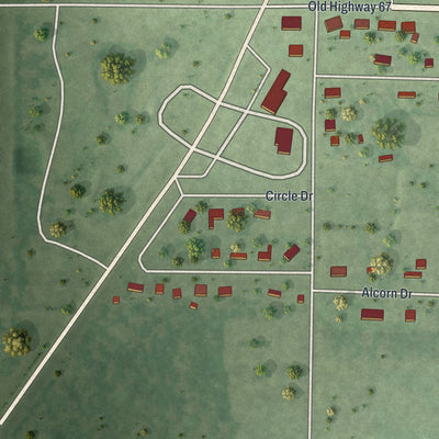 Close-up of the map of Neelyville, Missouri print showing street and building detail