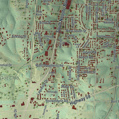 Close-up of the map of Neosho, Missouri print showing street and building detail