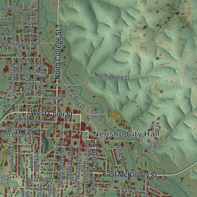 Second close-up of the map of Neosho, Missouri print showing more streets and buildings