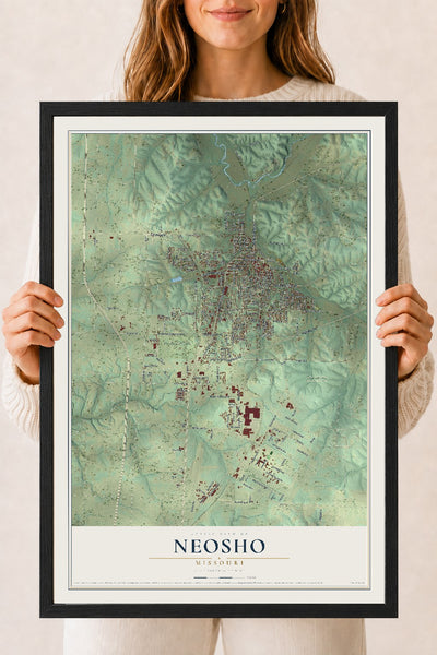 Map of Neosho, Missouri, 18 x 24 inch print in a black wood frame