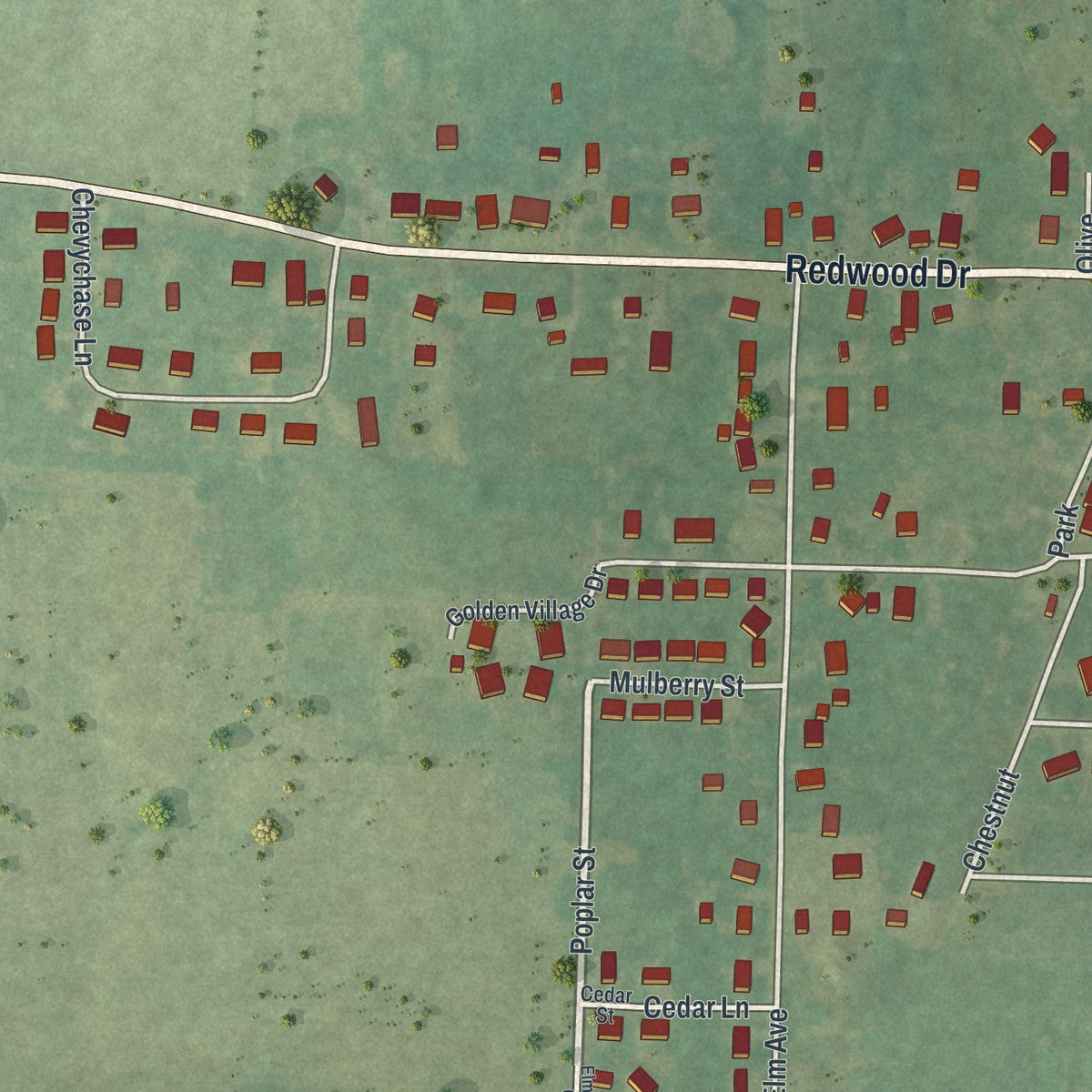 Second close-up of the map of New Bloomfield, Missouri print showing more streets and buildings