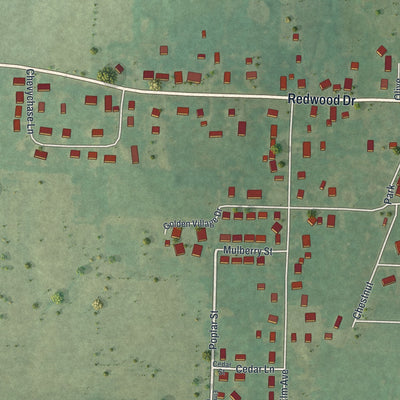 Second close-up of the map of New Bloomfield, Missouri print showing more streets and buildings
