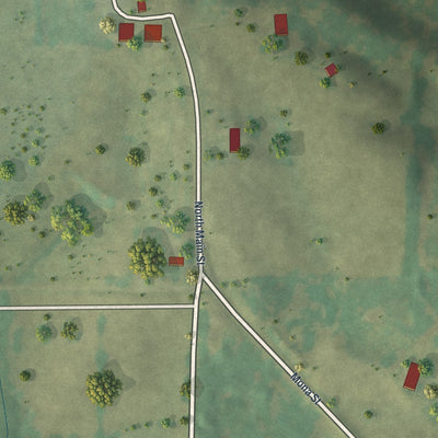 Second close-up of the map of New Cambria, Missouri print showing more streets and buildings