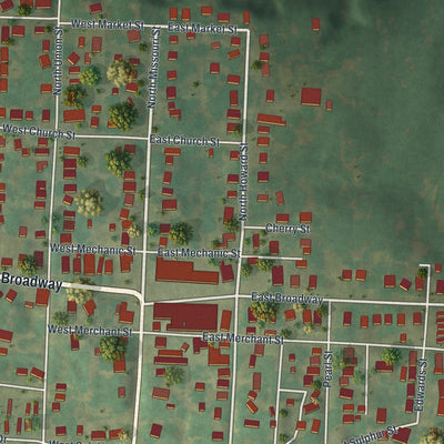 Close-up of the map of New Franklin, Missouri print showing street and building detail