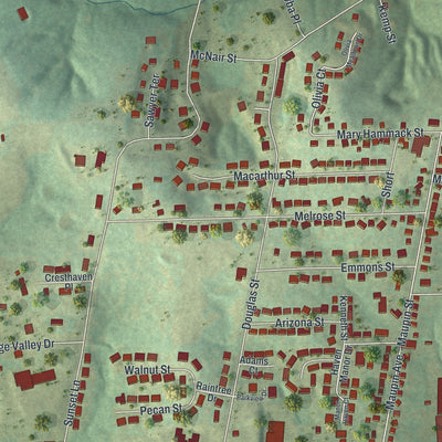 Close-up of the map of New Haven, Missouri print showing street and building detail