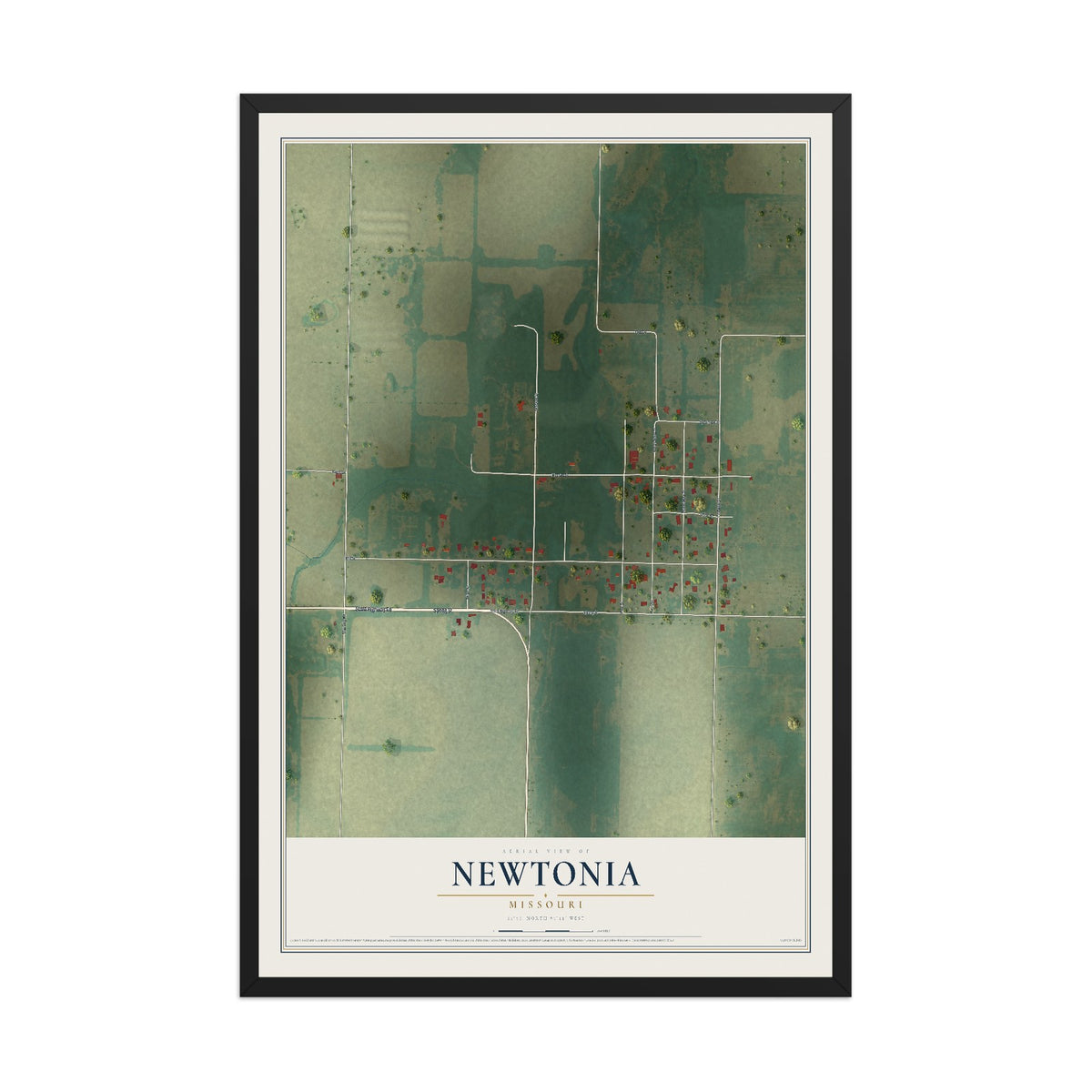 Map of Newtonia, Missouri, 12 x 18 inch print in a black wood frame