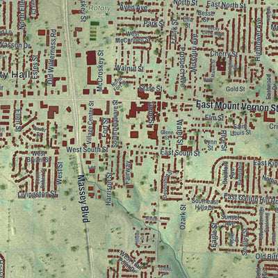 Close-up of the map of Nixa, Missouri print showing street and building detail