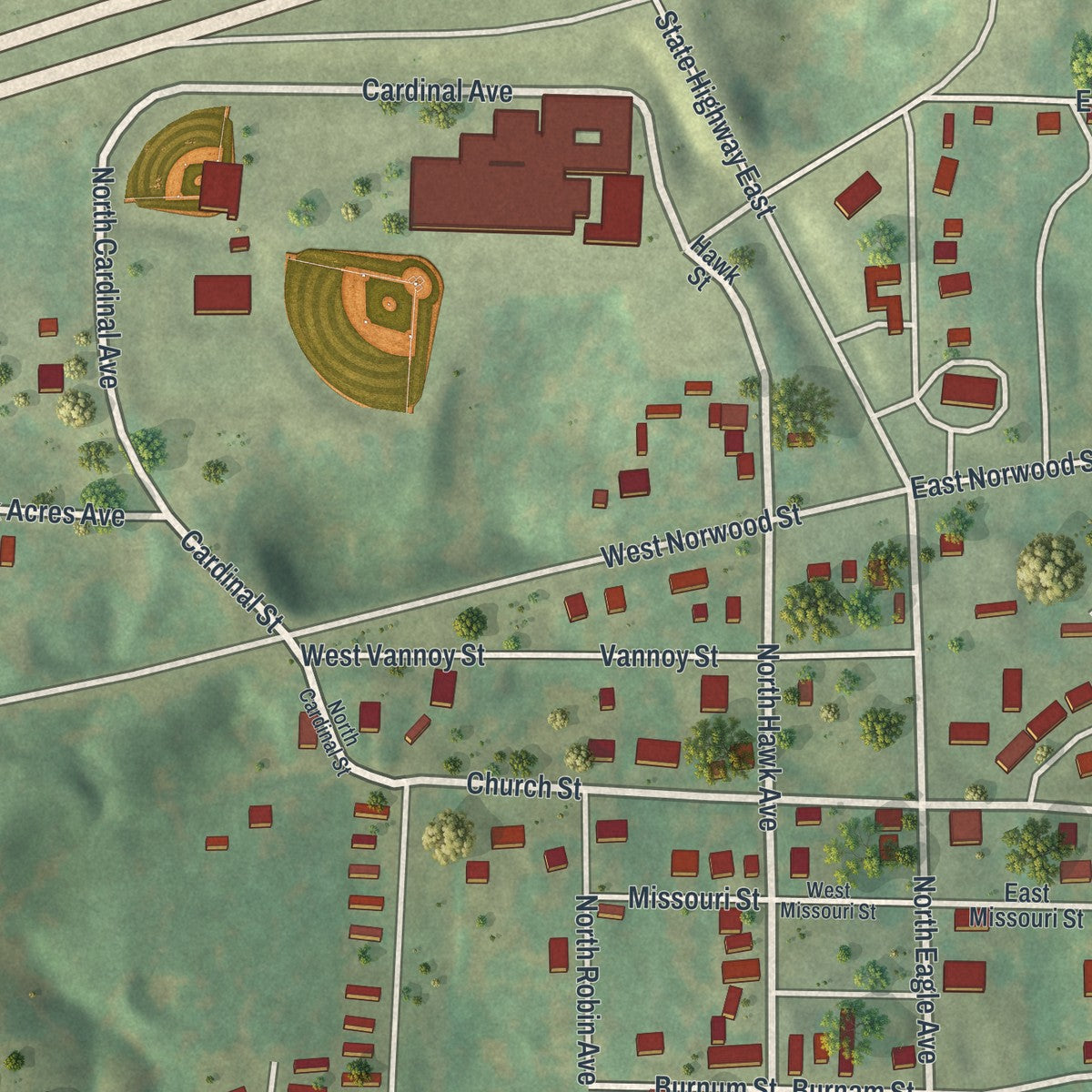 Close-up of the map of Norwood, Missouri print showing street and building detail