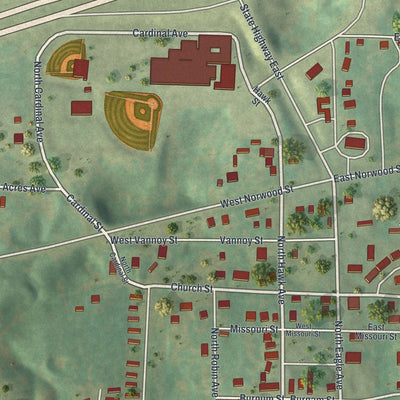 Close-up of the map of Norwood, Missouri print showing street and building detail