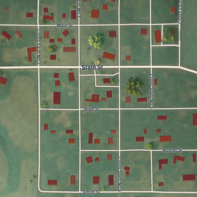 Close-up of the map of Novelty, Missouri print showing street and building detail