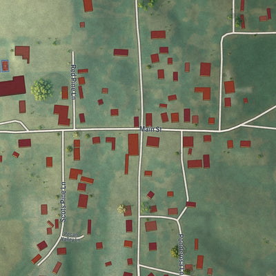 Close-up of the map of Oak Ridge, Missouri print showing street and building detail