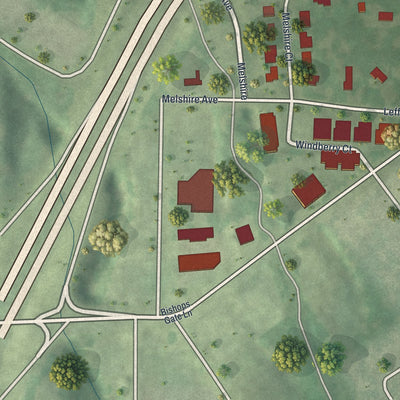 Close-up of the map of Oakland, Missouri print showing street and building detail