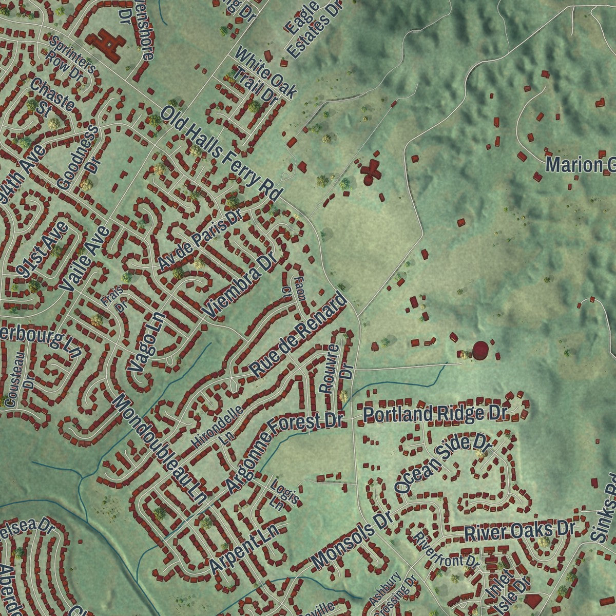 Close-up of the map of Old Jamestown, Missouri print showing street and building detail
