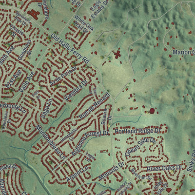 Close-up of the map of Old Jamestown, Missouri print showing street and building detail