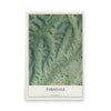Map of Parkdale, Missouri, 12 x 18 inch unframed archival matte print