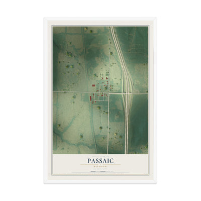 Map of Passaic, Missouri, 12 x 18 inch print in a white wood frame